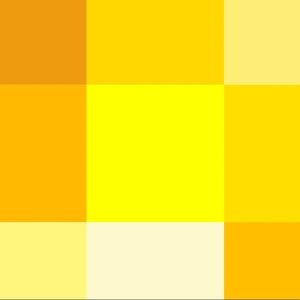 Meet your Posher, Jessie